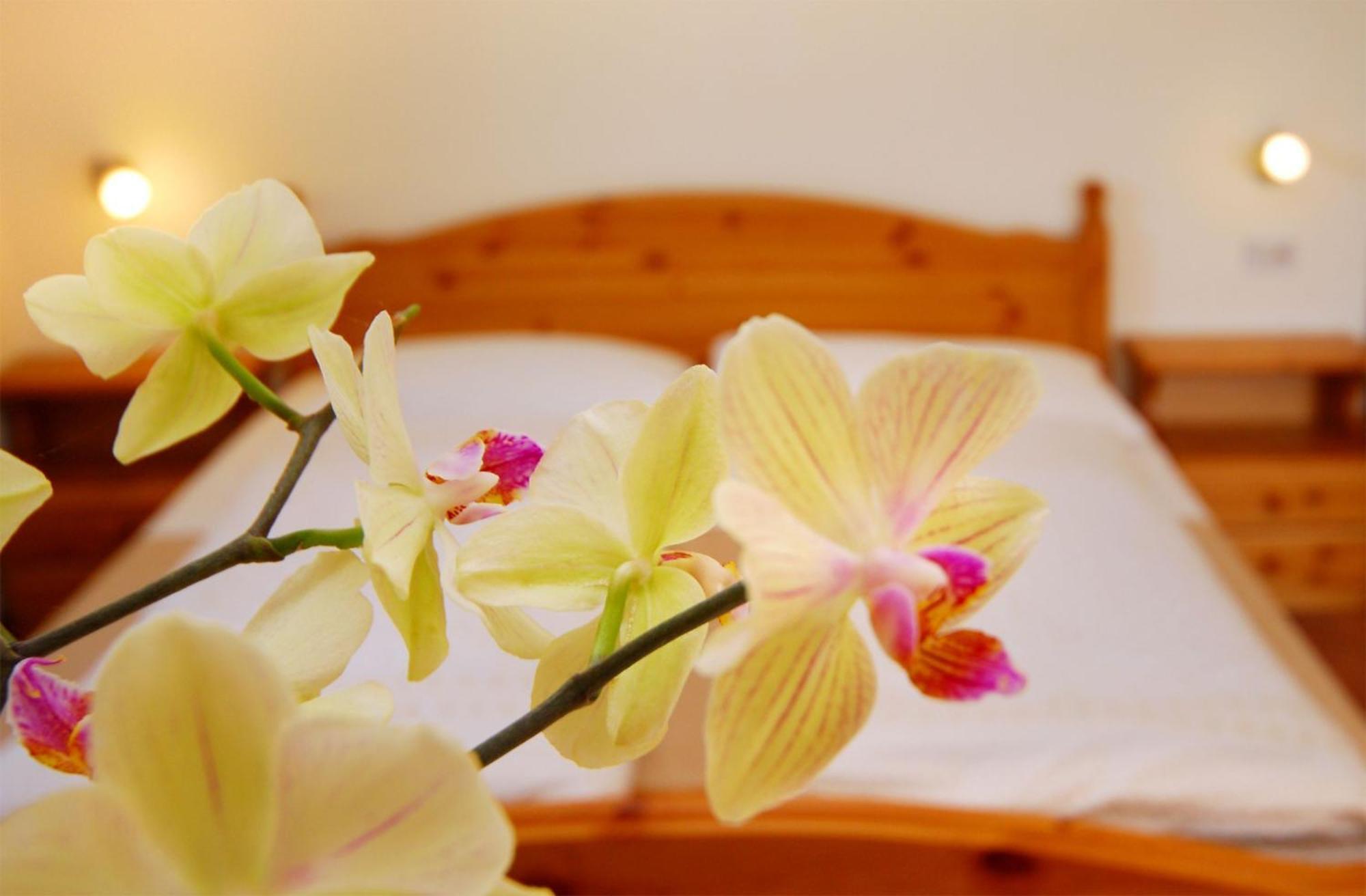 Bed and Breakfast Garni Karlegger Siusi Habitación foto